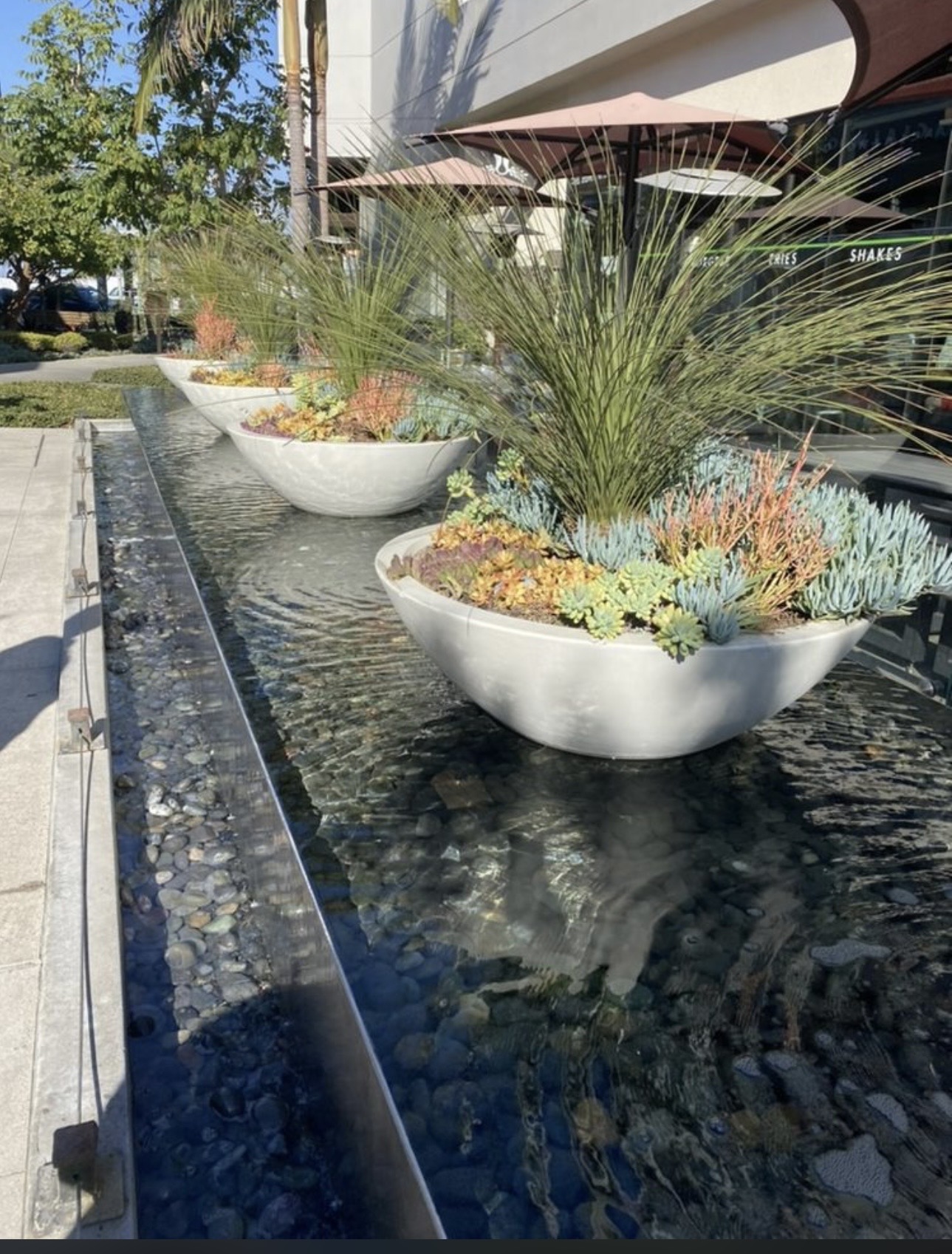 Commercial multi-basin fountain cleaning and water treatment